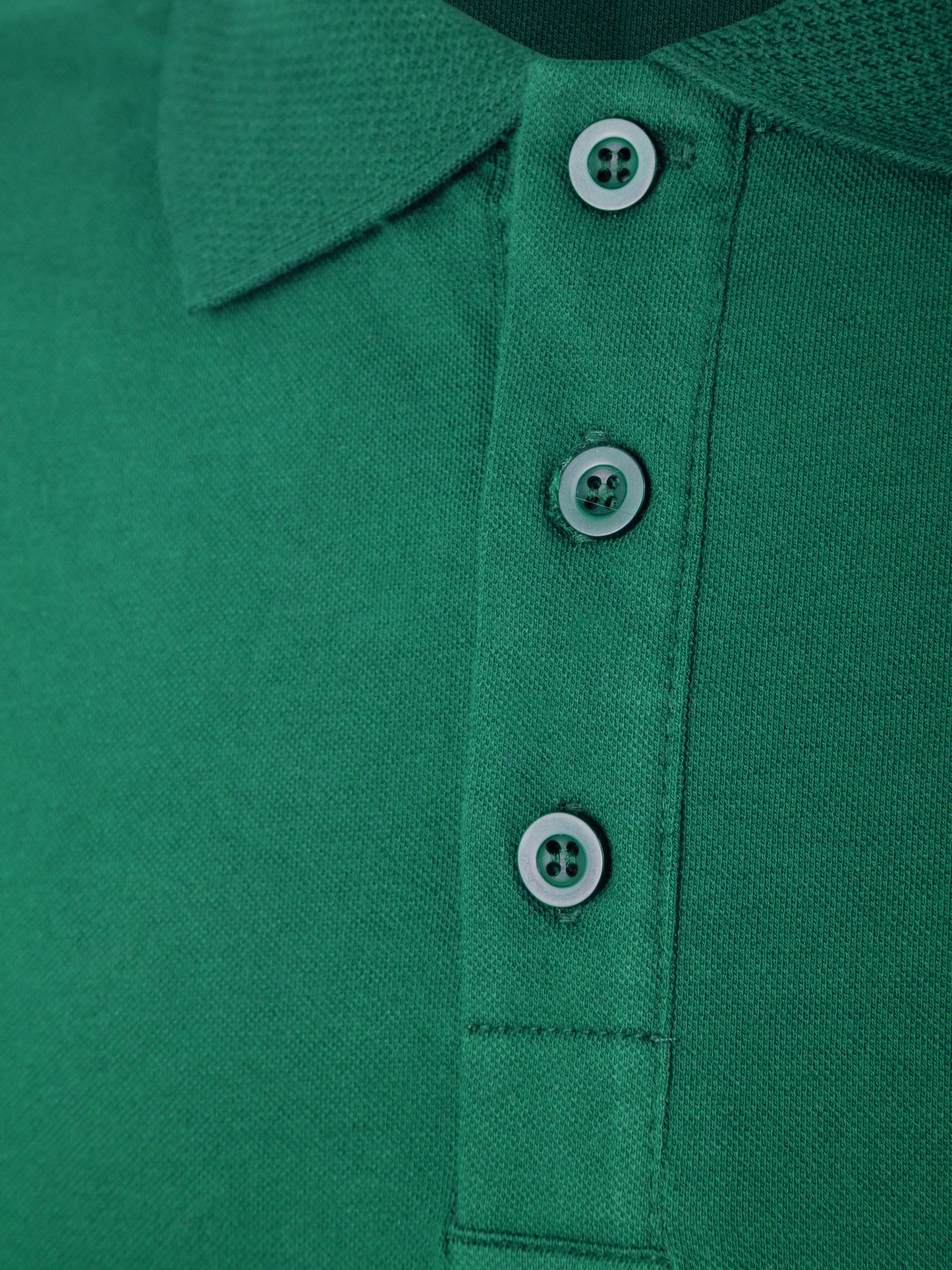 Polo Yaka Tişört